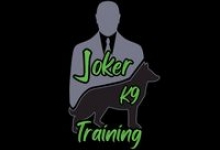 Satu Mare - Dresaj Canin Satu Mare - DRESAJ JOKER K9